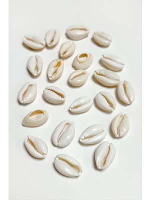 Nuveden Ieg™ 10 Adet Orjinal Istiridye Aparatı Küçük