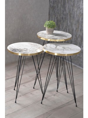 Sepetink Zigon Sehpa ve Orta Sehpa Elips Set Siyah Tel Ayak Altın Efes