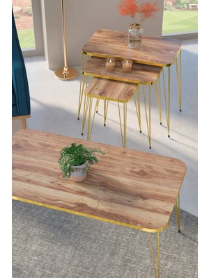 Sepetink Zigon Sehpa Kr ve Orta Sehpa Kr Set Gold Ceviz Tel 1108