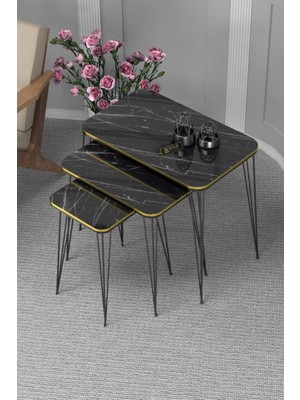 Sepetink Zigon Sehpa Kr Çift Bendir Tel Siyah Ayak