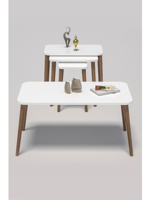 Sepetink Zigon Sehpa Kr ve Orta Sehpa Kr Torna Set Beyaz 1201