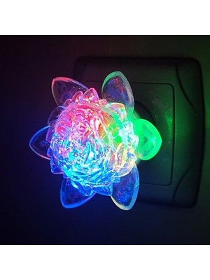 Çiçek Şekilli Gece Lambası, Anahtarlı LED Duvar Lambası, Dekoratif Aydınlatma