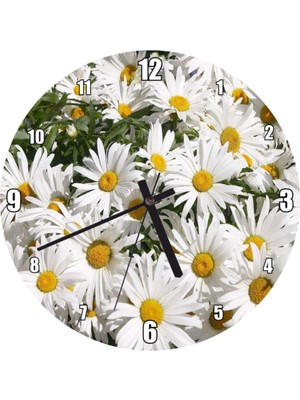 UltraMint Beyaz Büyük Papatya Desenli Modern Duvar Saati 30X30 cm