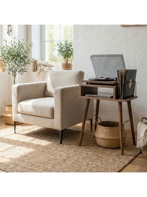 DEQQU Solo 45X35X63CM Pikap Sehpası Tek Organizerlı Plak Düzenleyici Yan Sehpa