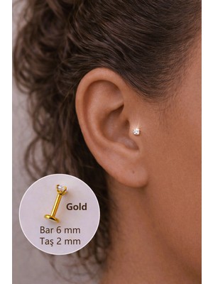 Sacce Scarves & Accessories 2 mm Tektaşlı 6 mm Çelik Piercing Gold Renkli