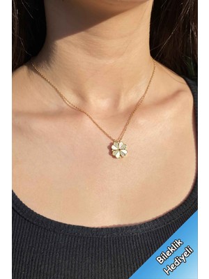 Normadia Zirkon Taşlı Yonca ve Kalp Tasarımlı Gold Zincir Kadın Kolye