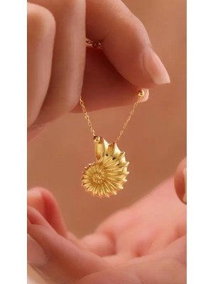 Normadia Üç Boyutlu Saylangoz Kabuğu, 925 Ayar Gümüş Takı Tasarımı