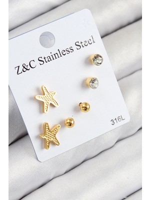 Luord Ticaret Bfs 316L Çelik Zirkon Taşlı Deniz Yıldızı Model Gümüş Renk Kadın Set Küpe