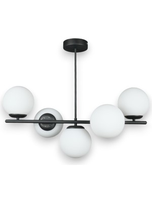 Şık Siyah Globe 5'li Avize, Modern Tasarım, Çeşitli Alanlar Için Parlaklık