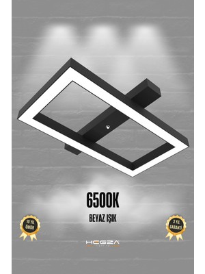 Modern Siyah ve Beyaz LED Plafonyer, Salon, Mutfak ve Oturma Odası Için