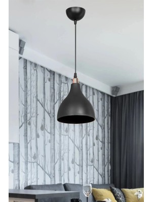 Şık Siyah Sarkıt Avize, Yatak Odası, Salon, Mutfak ve Koridor Için