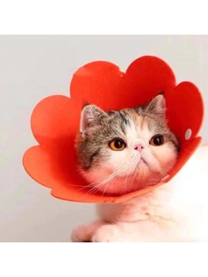 Ttt Evcil Hayvan L Boy Keçe Elizabeth Yakalığı