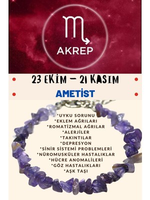 UltraMint Akrep Burcu Için Sertifikalı Ametist Taşlı Bileklik, Şıklık ve Enerji