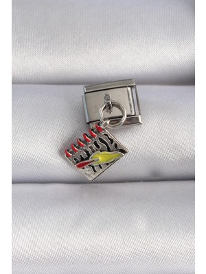 Najmaddin 316L Çelik Gümüş Renk Sallantı Defter Figür Nomination Charm