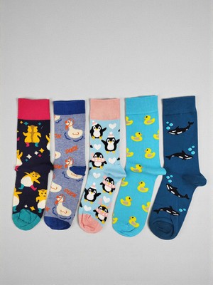 G Socks 5'li Su Hayvanları ve Hamster Desenli Renkli Çorap Seti