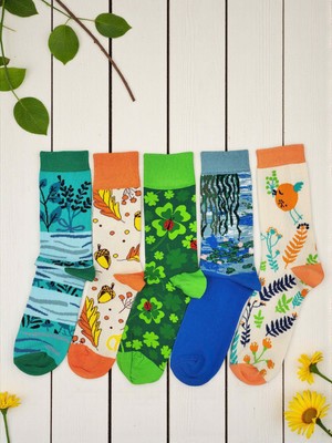 G Socks 5'li Yosun, Yaprak, Uğur Böceği, Sarmaşık ve Portalak Kuş Desenli Renkli Çorap Seti
