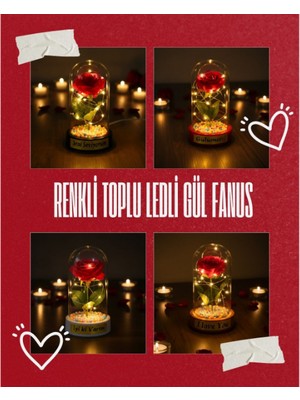 Akıllı Durak Renkli Toplu Ledli Gül Fanus