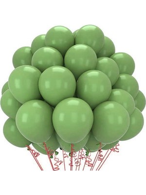 Pastel Balon 10 Lu Renk Seçenekli 12inç