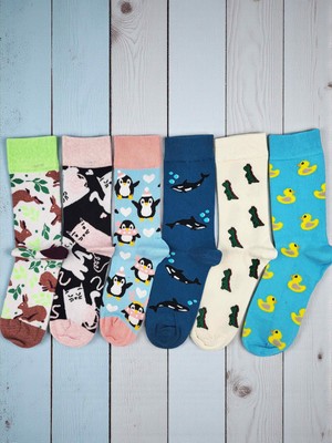 G Socks 6'lı Şirin Hayvanlar Desenli Renkli Çorap Seti