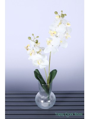 Yapay Çiçek Sitesi Yapay Yapraklı 2 Dal Islak Orkide Çiçeği Beyaz 55 cm