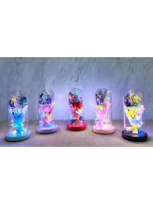 Starseven Işıklı Müzikli Cam Fanus Içinde Lavantalı Romantik Gül