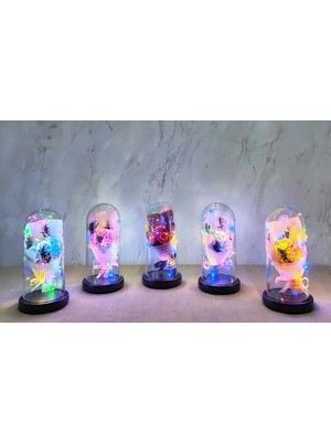Marsilyan Işıklı Müzikli Fanus Içinde Gül Buketi
