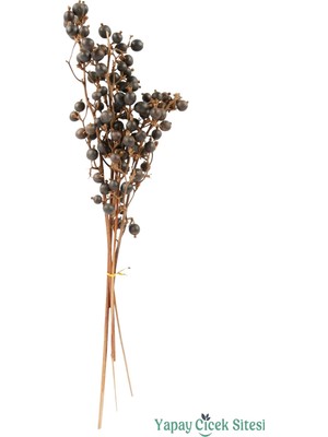 Yapay Çiçek Sitesi Doğal Çiçek Kuru Böğürtlen Dalı