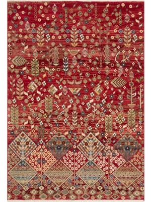 Cool Halı Anka Kırmızı Vintage Etnik Desenli Çok Renkli Bohem Yumuşak Dokuma Salon Oturma Odası Ev Oda Halısı