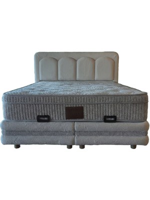 Siste Genç Mobilya Saray Krem Renk Çift Kişilik 160X200 (Yatak-Baza-Başlık) Set (2026 Serisi)