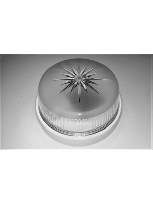 İNWATT Tavan Glop Armatür 1 Adet Papatya Tavan Glop Armatür