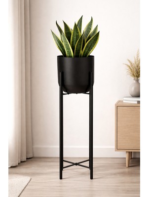 75 cm Çap 20 Siyah Boyalı Saksılık