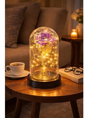 Home Dekor Hediye Sevgiliye Özel Günlere Dekoratf Hediye Mika Fanus Içinde Solmayan LED Işıklı Hologram Sonsuz Gül mor