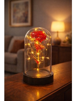 Home Dekor Hediye Sevgiliye Özel Günlere Dekoratif Hediye Fanus Içinde Solmayan LED Işıklı Hologram Sonsuz Gül kırmızı