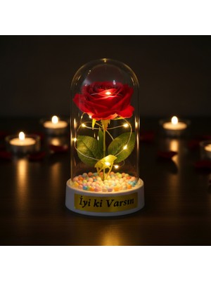 Bsre Işıklı Ters Fanus Içinde Gül Obje