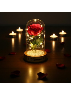 Bsre Incili Işıklı Ters Fanus Içinde Gül Obje