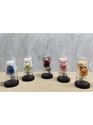 Bsre Fanus Içinde Sevimli Ayıcıklı Gül Buketi (Işıklı Müzikli) 1 Adet