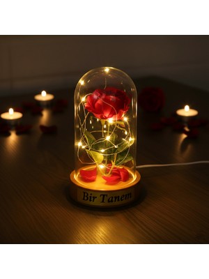 Bsre Gül Yapraklı Işıklı Ters Fanus Içinde Gül Obje