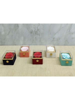 UltraMint Romantik Gül Yüzük Kutusu Kare Hediye Sevgililer Günü Için Şık Tasarım