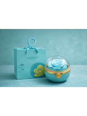 UltraMint Solmayan Gül Fanusu, Aşk Hediyesi, Cam Kubbe Içinde, 10X10 cm