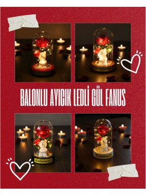 Aspartam Balonlu Ayıcık Ledli Gül Fanus