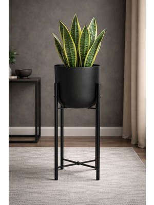 Valda Home 60 cm Çap 20 Siyah Boyalı Saksılık