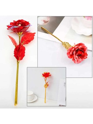 UltraMint Solmayan Sonsuzluk Gülü, Sevgi ve Şıklık Için Mükemmel Hediye