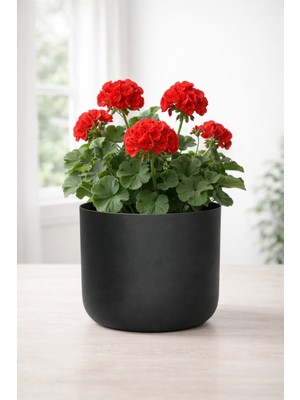 Valda Home Çap 25 Metal Siyah Saksılık