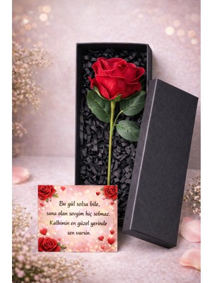 UltraMint Özel Tasarım Solmayan Gül ve Aşk Notlu Hediye Kutusu