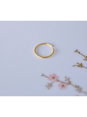 SET 925 Ayar Gümüş Altın Kaplama Halka Burun Piercing Hızma | ÇAP10MM |