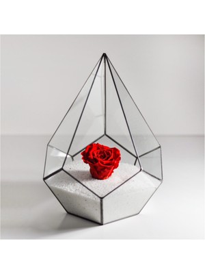 UltraMint Şık Siyah Geometrik Prizma Teraryum Cam Fanus ve Solmayan Gül Seti