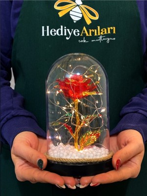 UltraMint Kırmızı Sonsuzluk Gülü Fanusuyla Romantik Hediye Çiçek Aranjmanı