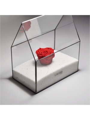 UltraMint Şık Siyah Geometrik Prizma Teraryum Cam Fanus ve Solmayan Gül Seti