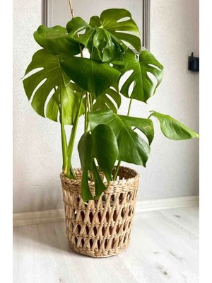 Ss Eral Koop Hasır Saksı Tasarım Özel Üretim Dekoratif Balkon Bahçe Dekorasyonu Modeli Çapı:30 Boyu:28 cm (Battal Boy)