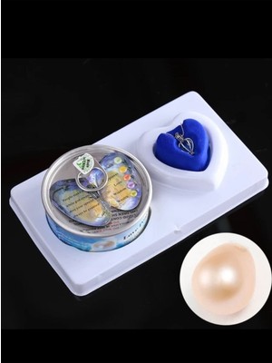 UltraMint Doğal Istiridye Içinde Gerçek Inci Kolye Sevgiliye Hediye